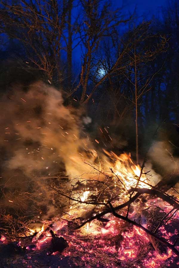 Lõkke tegeine lähedal asuvas metsas